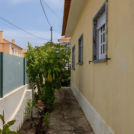 Tatil Evi Casa Da Vigia - Santa Cruz - Casa Com Jardim A 4 Min Da A dos Cunhados