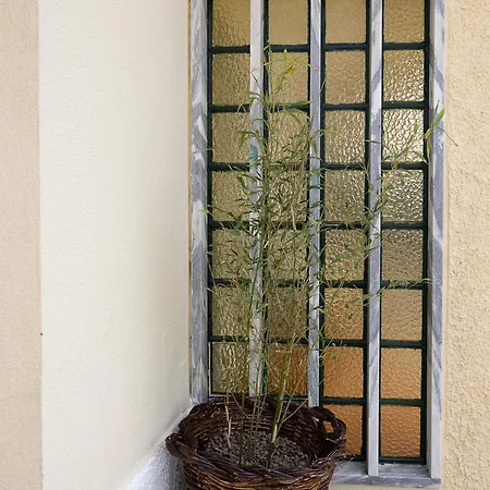 Casa Da Vigia-Casa Com Jardim A 4 Min Da Praia