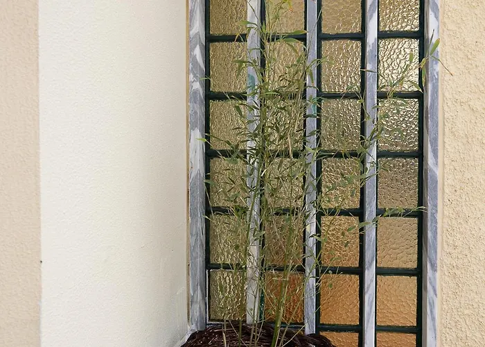 Casa Da Vigia-casa Com Jardim A 4 Min Da